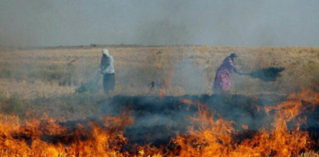 برخورد قضایی در انتظار کشاورزانی که مزارع خود را پس از برداشت می سوزانند