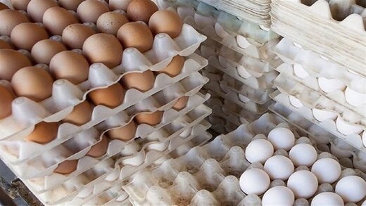 چرا قیمت تخم مرغ به شانه ای ۶۰ هزار تومان رسید؟