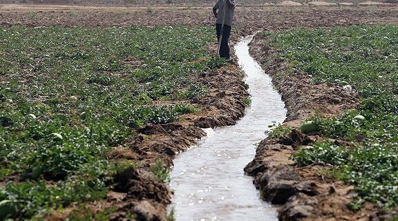 یش از ۷۵ درصد مخازن سدهای خوزستان خالی است/ برنامه سازمان تامین آب کشت‌های موجود است/ کشت های پاییزه تا آذرماه به تاخیر بیفتد تا باران ببارد