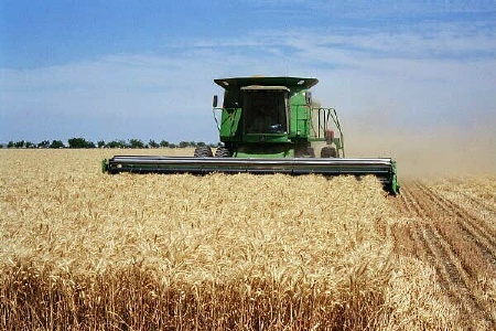 خرید ۱۰ هزار تن گندم از کشاورزان خوزستانی از آغاز فصل برداشت