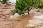 سیلاب راه ارتباطی صیدون به دیشموک را مسدود کرد
