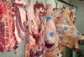 کشف ۳۰۰ کیلو گوشت فاسد از یک واحد پروتئینی در زنجان
