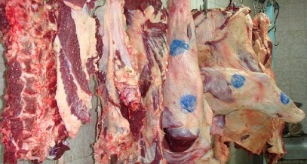 کشف ۳۰۰ کیلو گوشت فاسد از یک واحد پروتئینی در زنجان