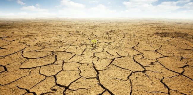 ۶ استان در صدر افت بارندگی