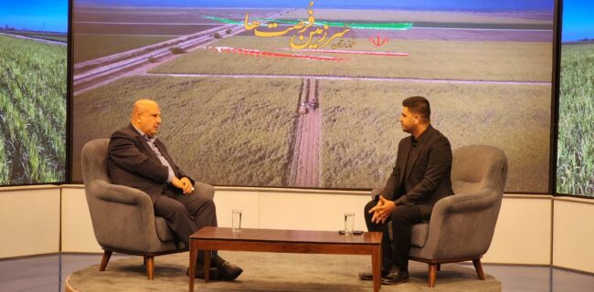 رسیدن نیشکر به سود ۶ همتی با عبور از بحران‌ها