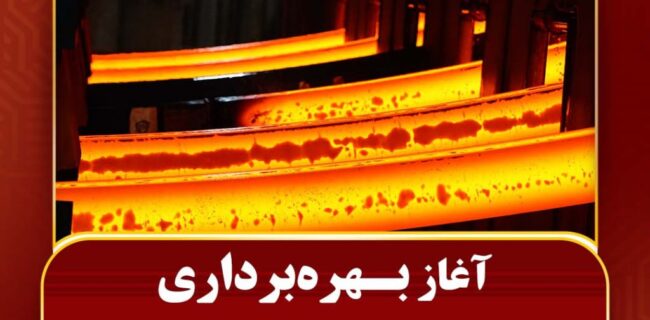  شادگان در آستانه روشن‌شدن کوره‌های فولاد؛  /  🔴 نخل در موسم باروری، زمین در تب سازندگی / ✔️ پیوند نخل و فولاد؛ روایت صبر و شیرینی در خوزستان