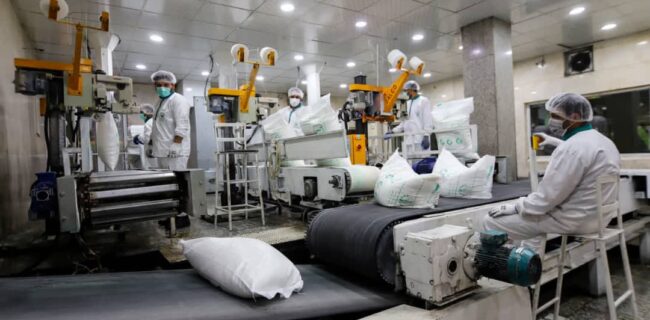 رکوردشکنی نیشکر دعبل خزاعی با تولید ۲۱۸ هزار تن شکر سفید